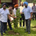 ਵਿਜੀਲੈਂਸ ਬਿਊਰੋ ਅੰਮ੍ਰਿਤਸਰ ਵੱਲੋਂ ਪੀਐੱਫਐਚਆਰ ਦੇ ਸਹਿਯੋਗ ਨਾਲ ਲਗਾਏ ਗਏ ਬੂਟੇ